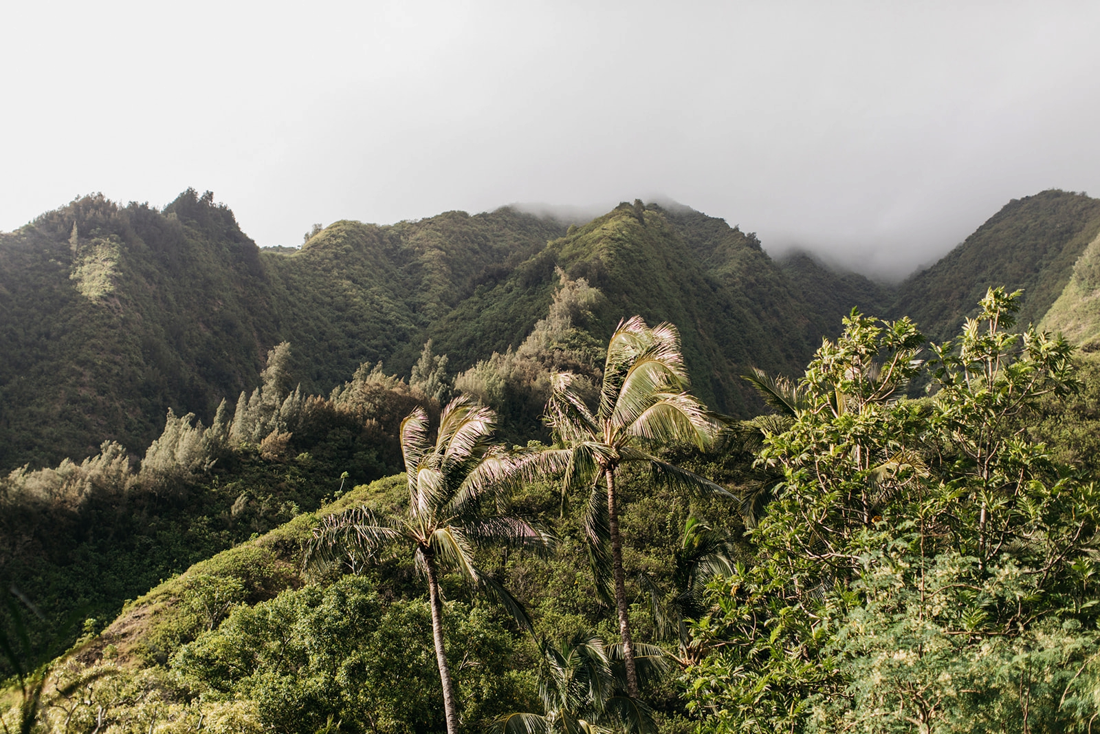 Maui Love Session Portrait Elopement Engagement Lovers