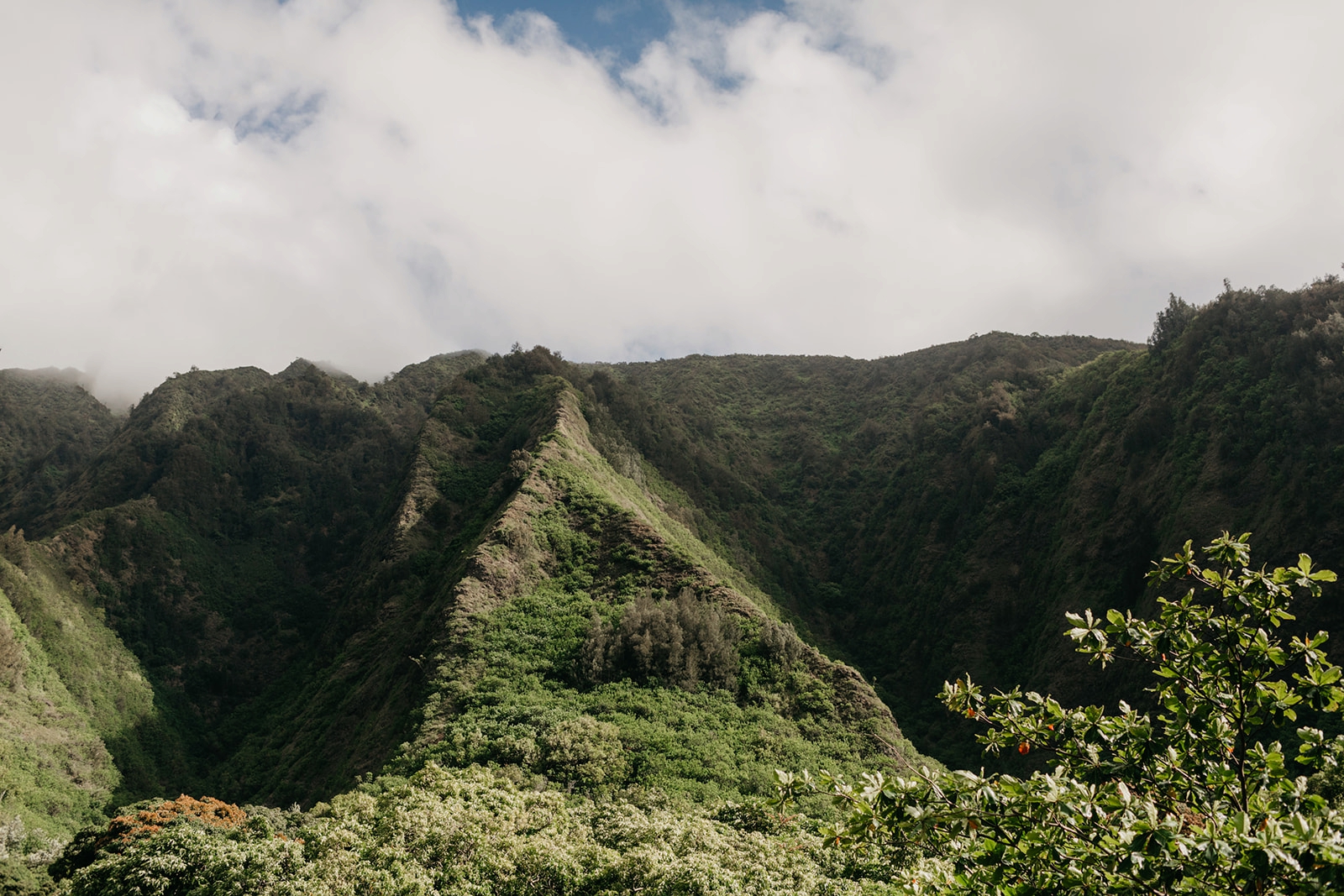 Maui Love Session Portrait Elopement Engagement Lovers