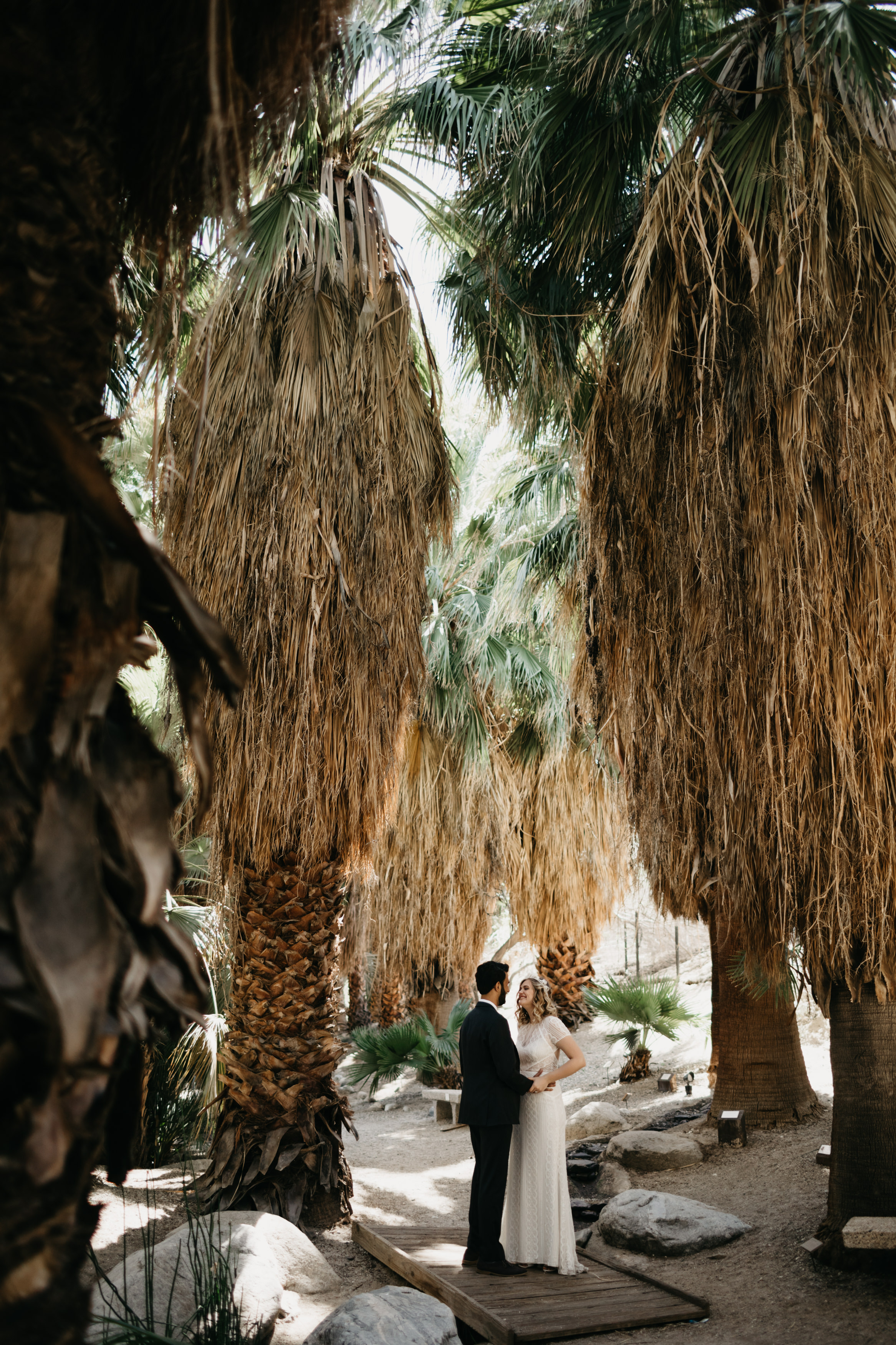 bride groom in living desert palm springs 